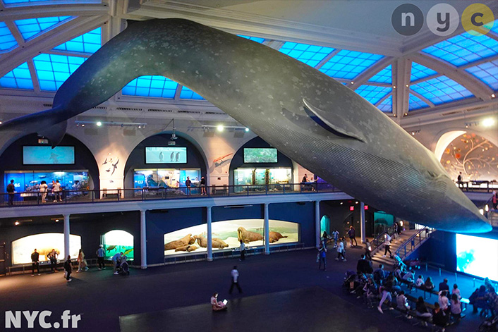 Die besten Angebote für Museumsbesuche in New York